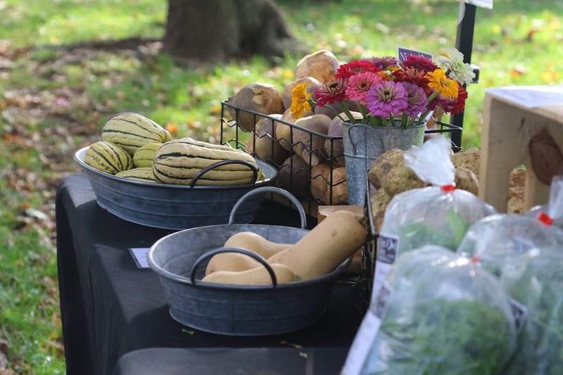 Le chef : passion et savoir-faire gascon